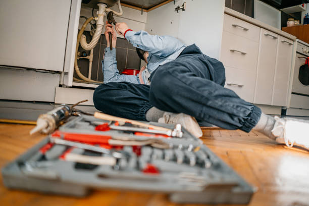 Best Affordable Plumber Near Me  in Forest Lake, IL