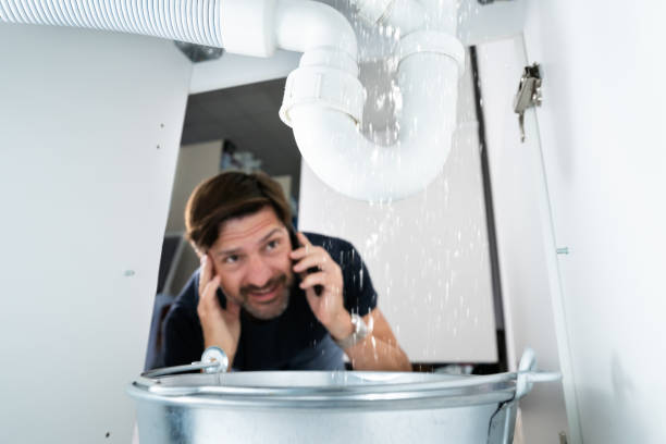 Best Clogged Drain Plumber  in Forest Lake, IL