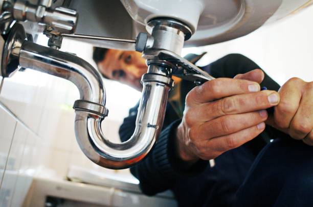 Best Sewer Line Repair  in Forest Lake, IL