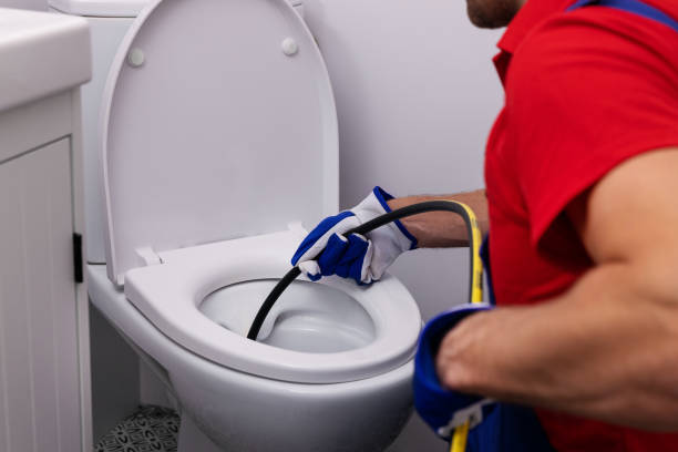 Best Residential Plumbing Services  in Forest Lake, IL