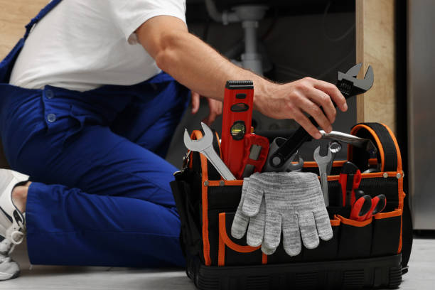  Forest Lake, IL Plumbing Pros