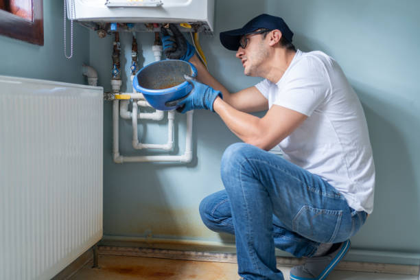 Best Drain Cleaning Services  in Forest Lake, IL