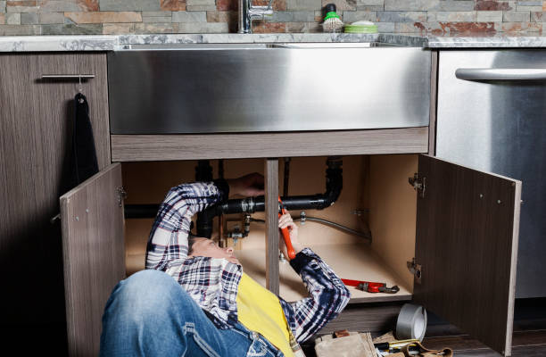Best Residential Plumbing Services  in Forest Lake, IL